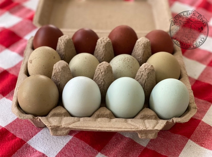 Rainbow Hatching Eggs