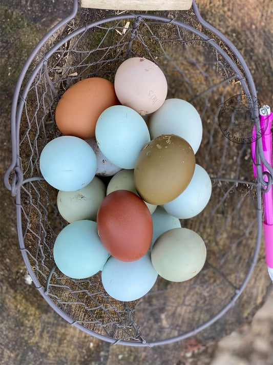 Hen's Speciality - Dozen Eggs