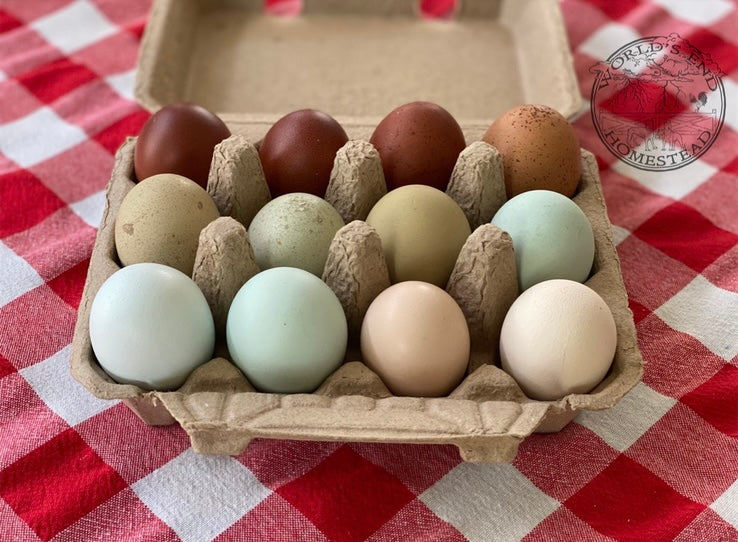 Rainbow Hatching Eggs