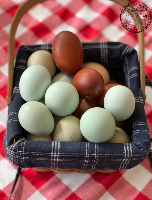 Rainbow Hatching Eggs